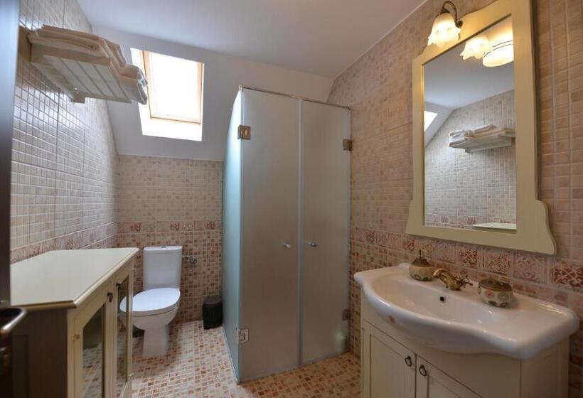 Standard Værelse, Pensiunea Drumul Plutasilor