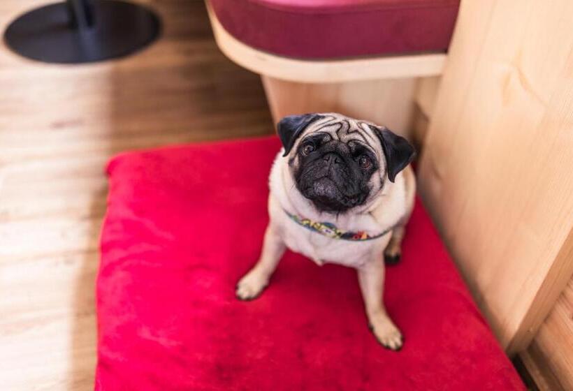 マウンテンビュースイート, Appartement Haus Gitschberg