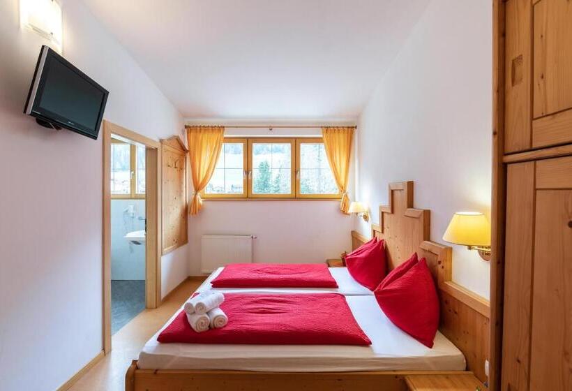 マウンテンビュースタンダードルーム, Appartement Haus Gitschberg