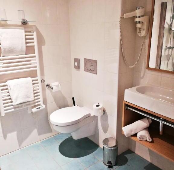 스탠다드 싱글 룸, Best Western Hotel Du Mucem