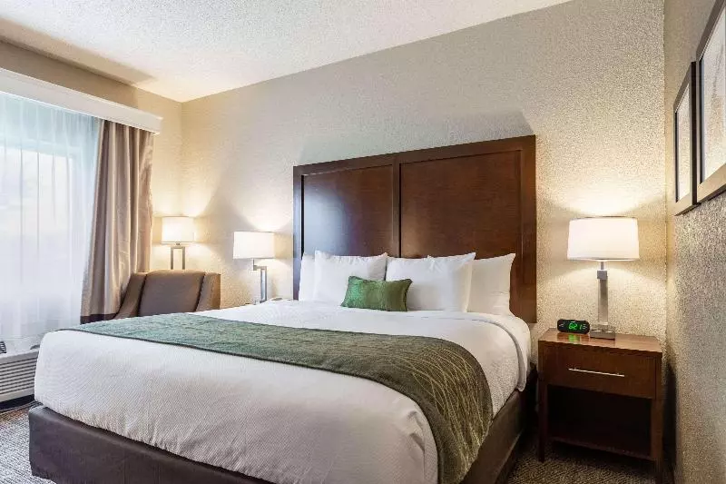 キングサイズベッドのスタンダードルーム, Comfort Inn South Tulsa   Woodland Hills
