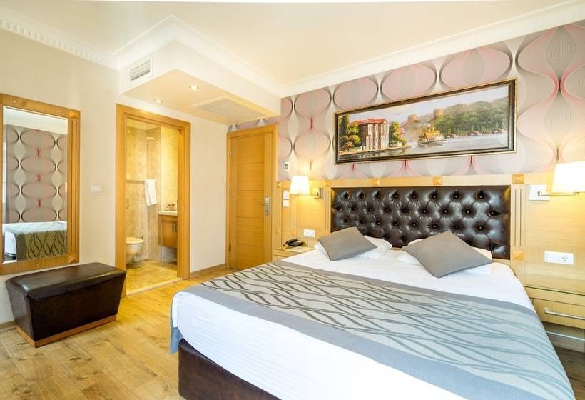 اتاق سوپریور, Levent Hotel Istanbul