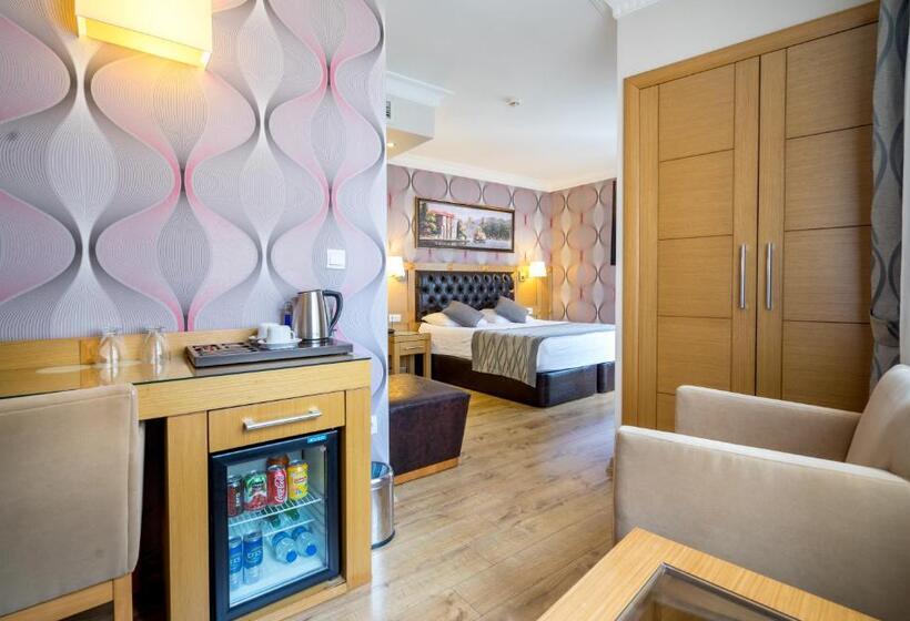 اتاق سوپریور, Levent Hotel Istanbul