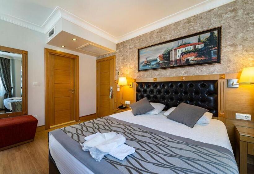 اتاق سوپریور, Levent Hotel Istanbul
