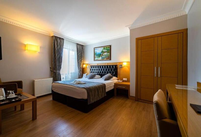 اتاق سوپریور, Levent Hotel Istanbul
