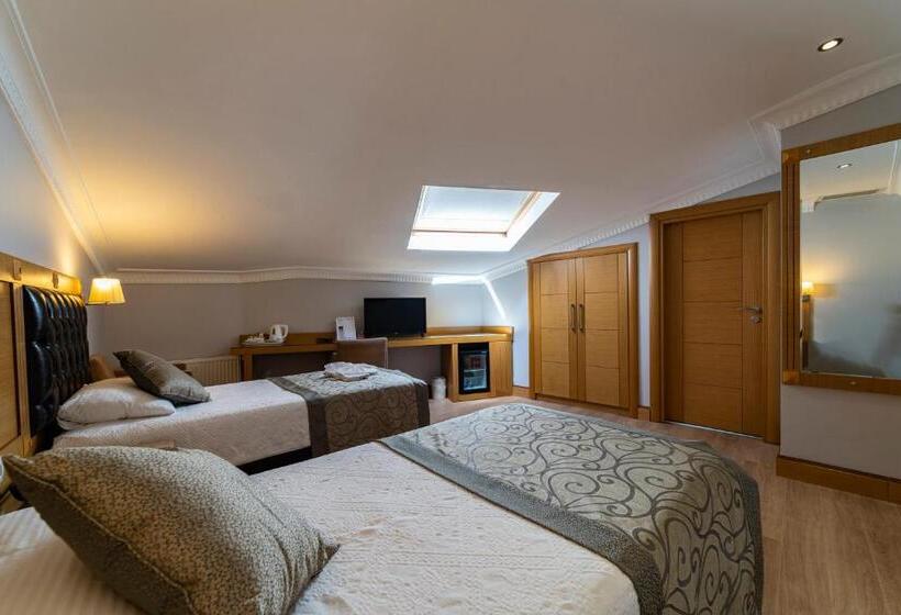 اتاق استاندارد, Levent Hotel Istanbul