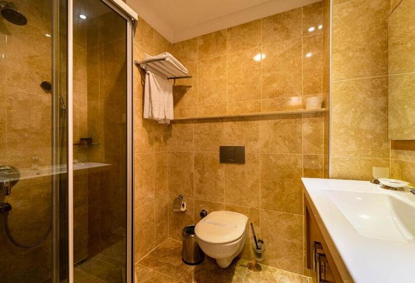 اتاق سوپریور یک تخته, Levent Hotel Istanbul