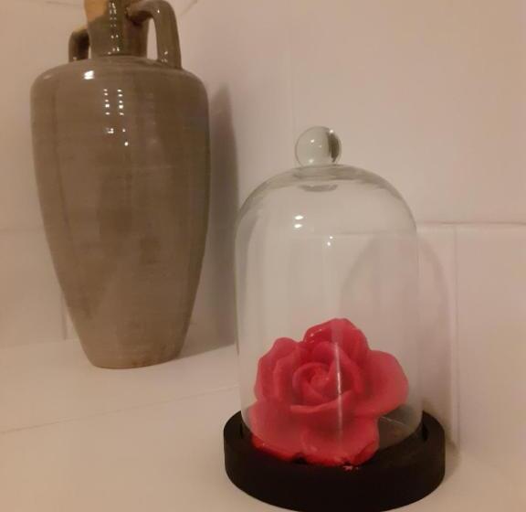 Номер Стандарт, Fleur De Senon