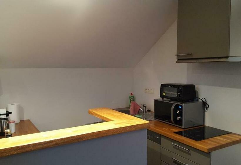 סטודיו סופריור, Guesthouse Biolleke