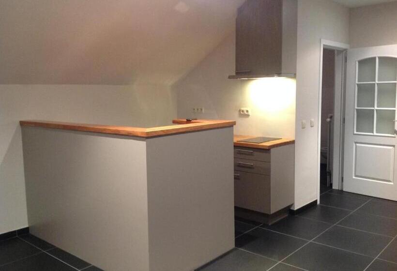 סטודיו סופריור, Guesthouse Biolleke