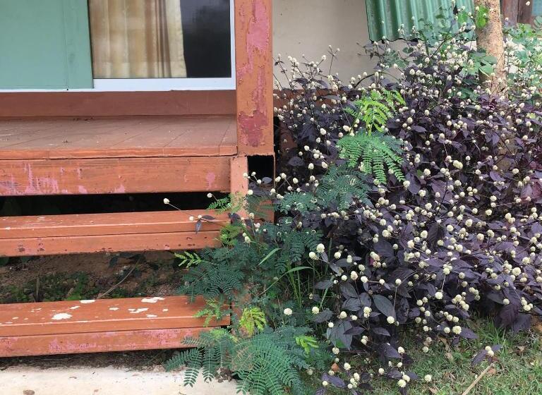 스탠다드 방갈로, Kum Nangpaya