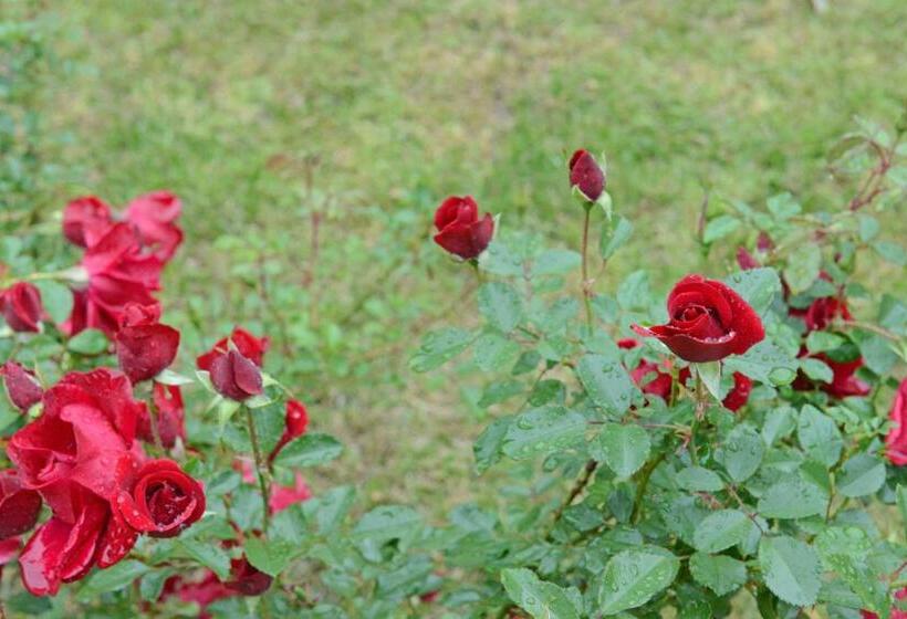 בית, חדר שינה 1, Mkomazana Mountain Cottages