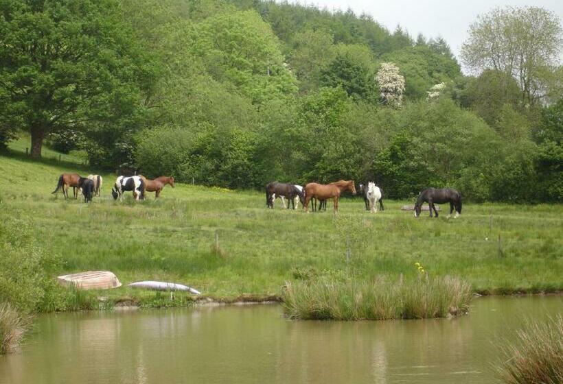 スタンダードルーム, Five Saints Farmhouse B&b