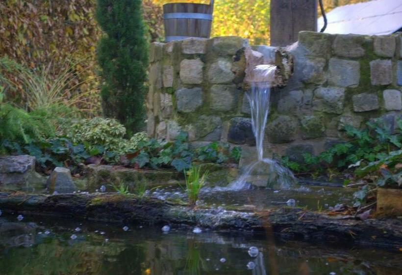 חדר אקונומי, La Fiole Ambiance