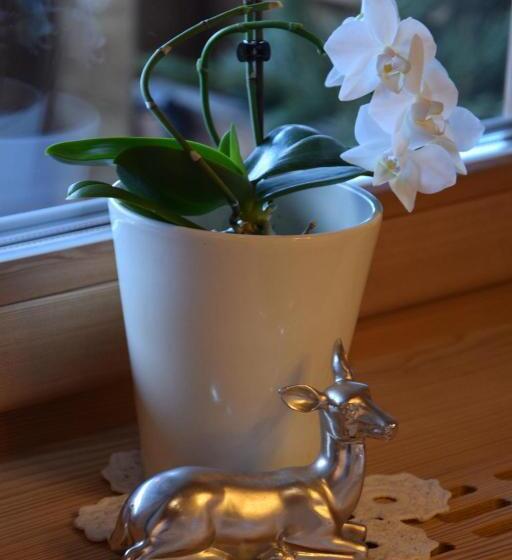 バルコニー付２ベッドルームアパートメント, Sule Hof Agriturismo