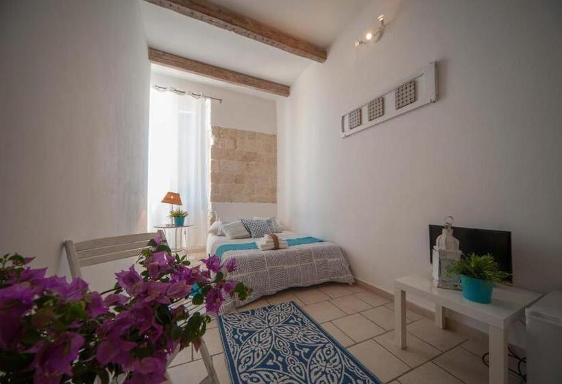 Standart Oda, Portadamare