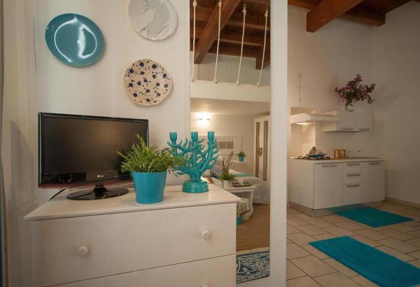 Standart Oda, Portadamare