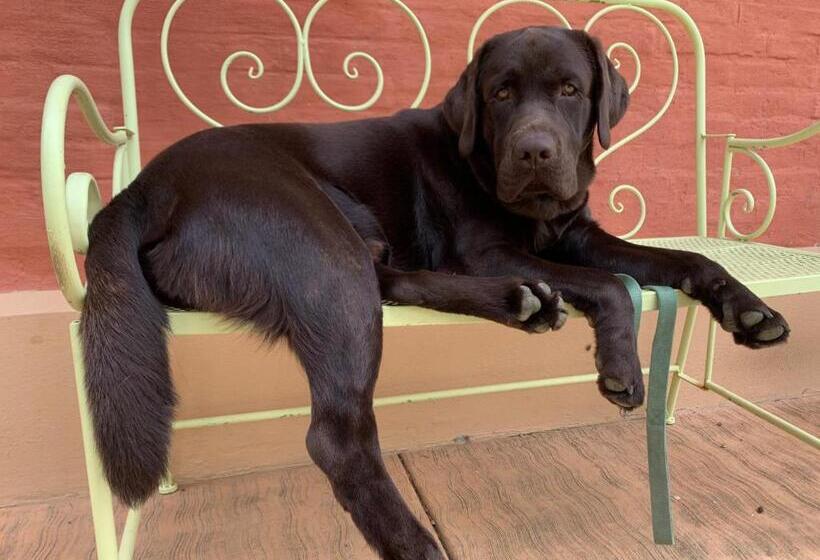 豪华三人间, Villa Resta & Dependance