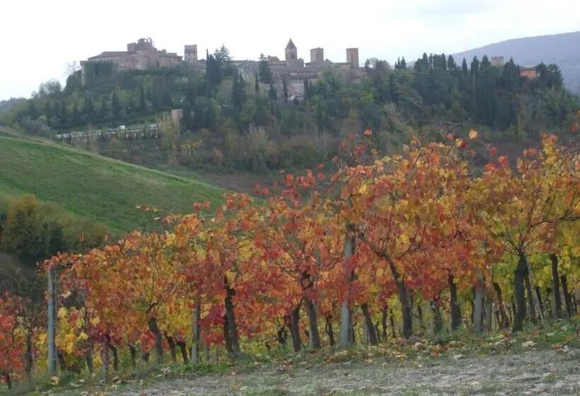 １ベッドルームアパートメント, Agriturismo Il Torrione