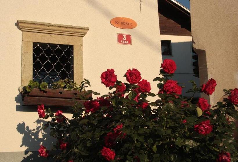 استودیو استاندارد با چشم‌انداز, Garden Apartments Maria