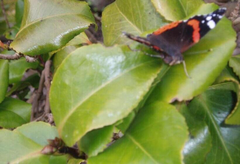 스탠다드 룸, Barn Gill House