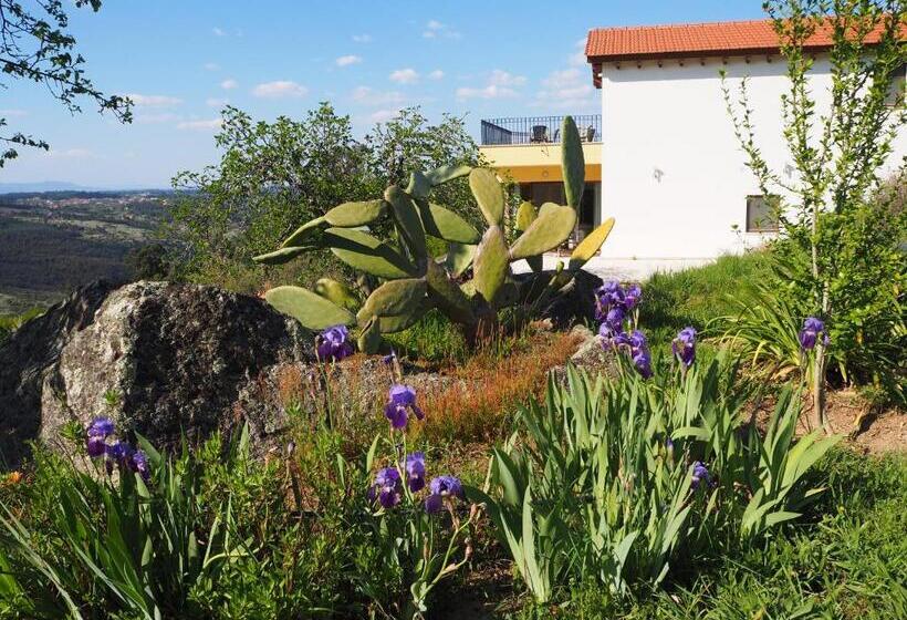 标准间, Quinta Vale Porcacho