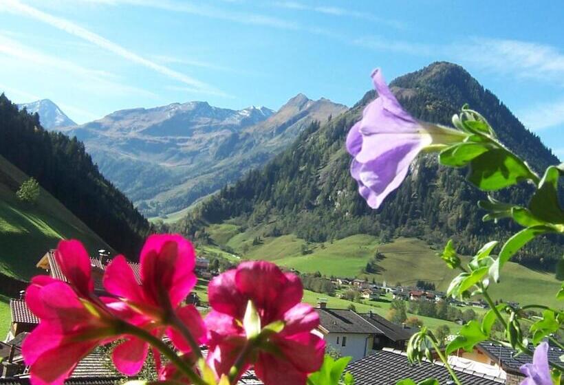 آپارتمان 1 خوابه با بالکن, Frühstücks  Pension Sonnblickhof