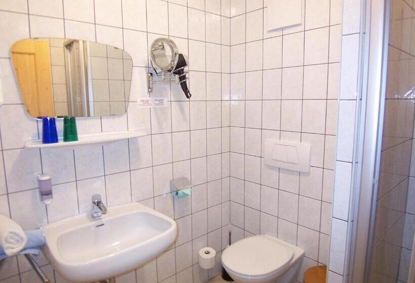 آپارتمان 1 خوابه با بالکن, Frühstücks  Pension Sonnblickhof