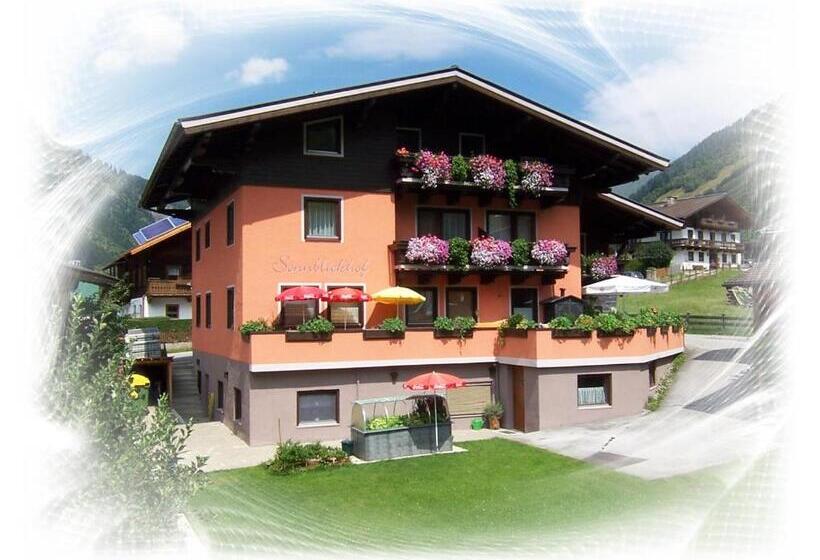 اتاق استاندارد یک تخته با بالکن, Frühstücks  Pension Sonnblickhof