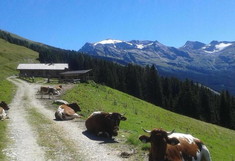 اتاق استاندارد یک تخته با بالکن, Frühstücks  Pension Sonnblickhof