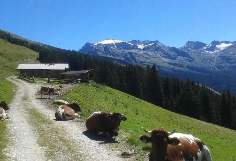 バルコニー付きシングルスタンダードルーム, Frühstücks Pension Sonnblickhof