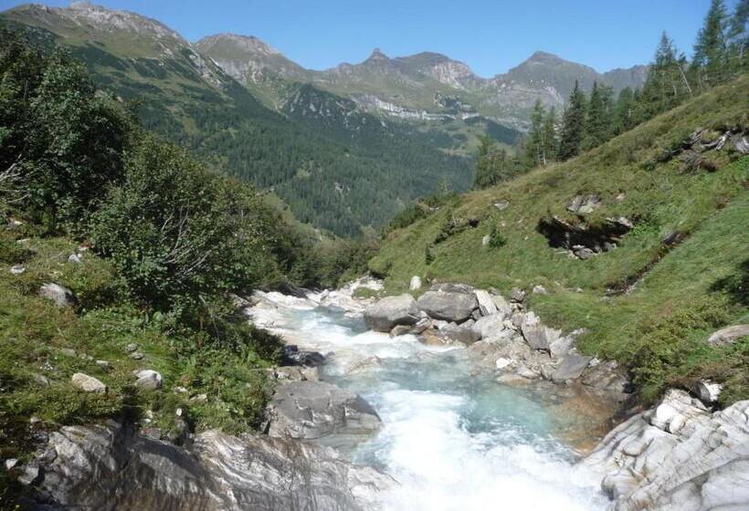 اتاق استاندارد یک تخته با بالکن, Frühstücks  Pension Sonnblickhof