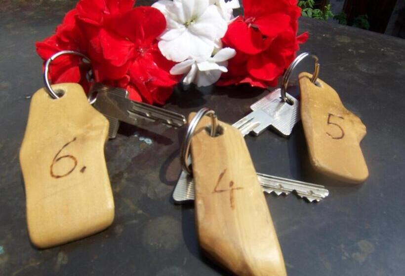 اتاق استاندارد یک تخته با بالکن, Frühstücks  Pension Sonnblickhof