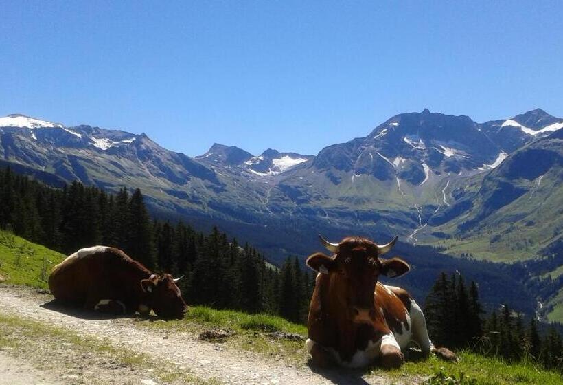 اتاق استاندارد, Frühstücks  Pension Sonnblickhof