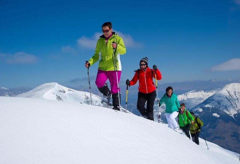 آپارتمان 1 خوابه با بالکن, Frühstücks  Pension Sonnblickhof