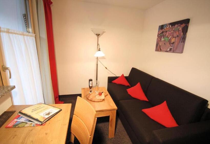 Номер Стандарт с Балконом, Gästehaus Sinz