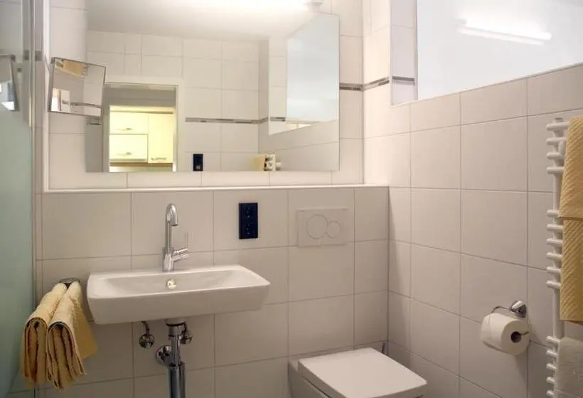آپارتمان 1 خوابه با تراس, Gästehaus Sinz