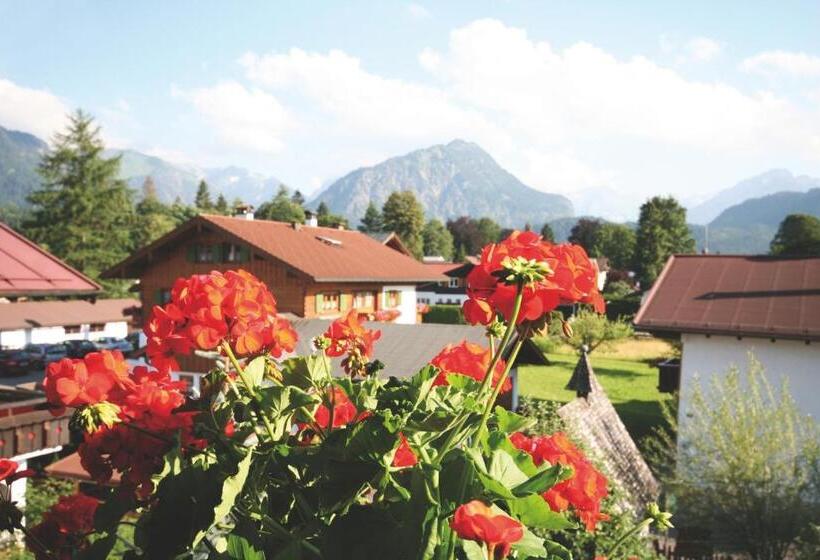 Апартаменты 1 Спальня с Балконом, Gästehaus Sinz