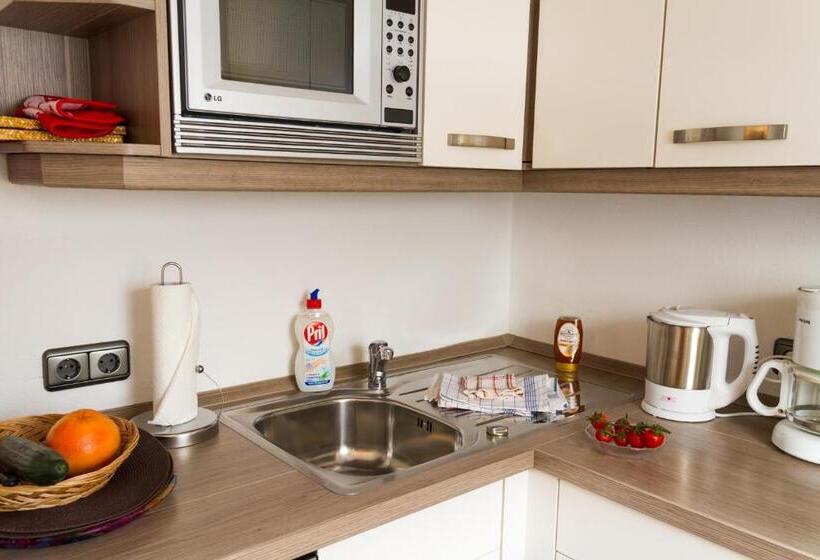 Апартаменты 1 Спальня с Балконом, Gästehaus Sinz