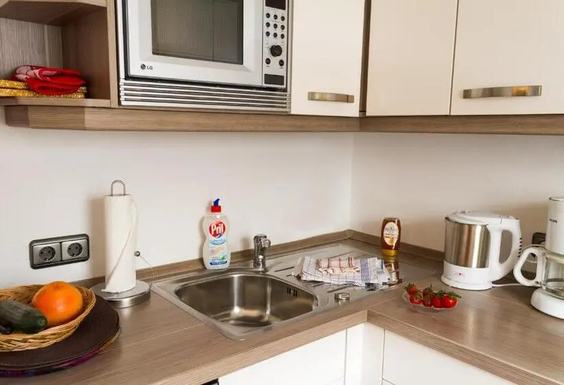آپارتمان 1 خوابه با بالکن, Gästehaus Sinz