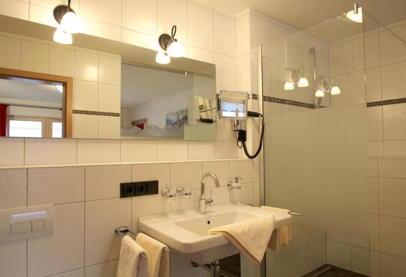 Апартаменты 1 Спальня с Балконом, Gästehaus Sinz