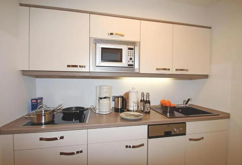 آپارتمان 1 خوابه با بالکن, Gästehaus Sinz