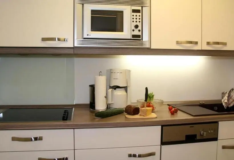 آپارتمان 1 خوابه با بالکن, Gästehaus Sinz