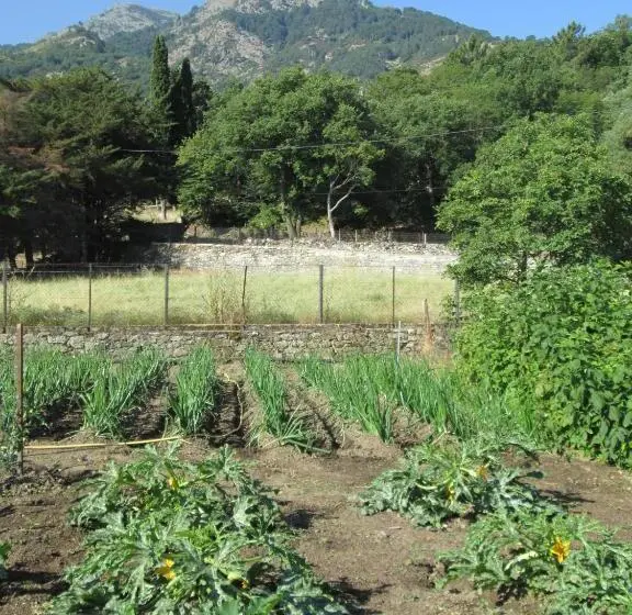 سوییت خانوادگی, L Albadu