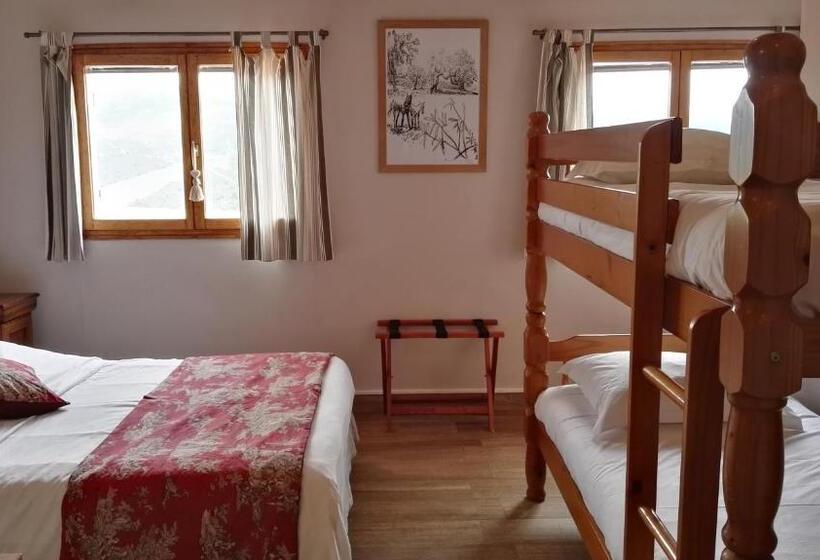 Family Suite, L Albadu