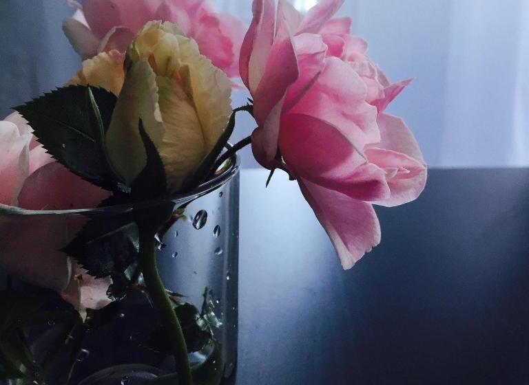 Номер Стандарт Вид на Море, Deep Blue Guest House