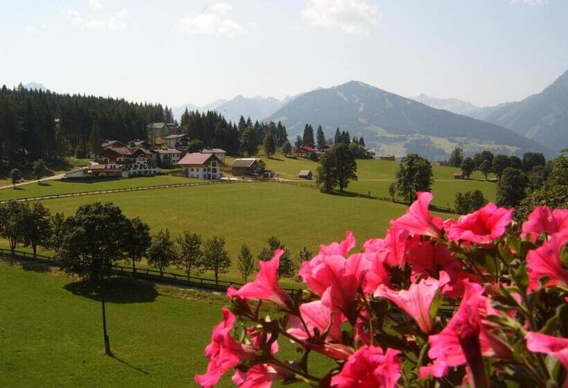 バルコニー付きシングルスタンダードルーム, Pension Felsenheim