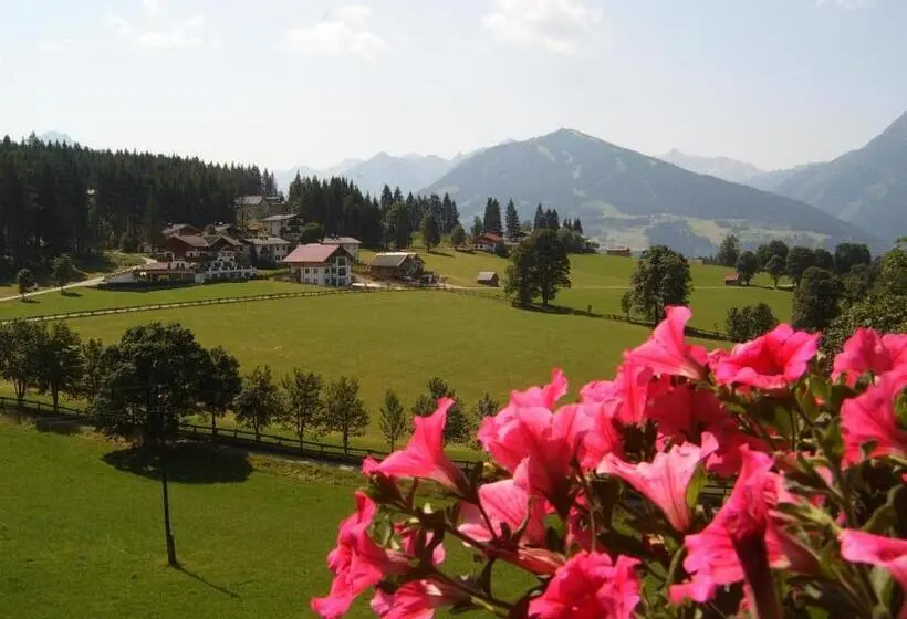 اتاق استاندارد یک تخته با بالکن, Pension Felsenheim