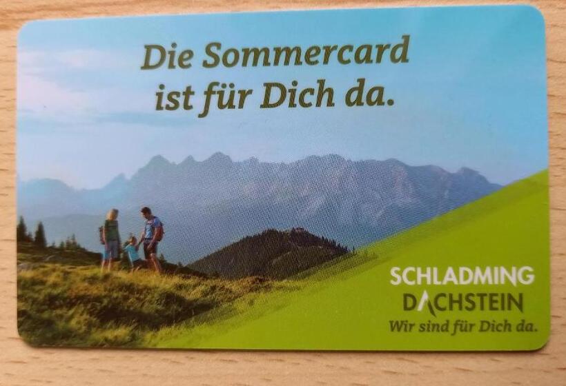 スタンダードスタジオ, Pension Felsenheim