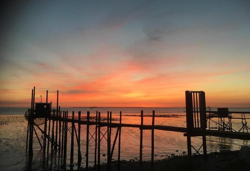 带大床的标准间, Un Banc Au Soleil